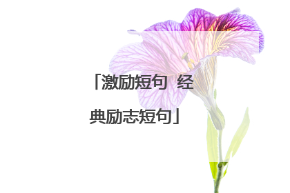 激励短句 经典励志短句