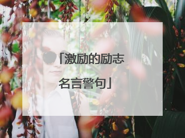 激励的励志名言警句