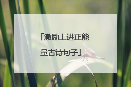 激励上进正能量古诗句子