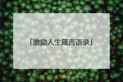 激励人生箴言语录