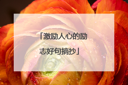激励人心的励志好句摘抄