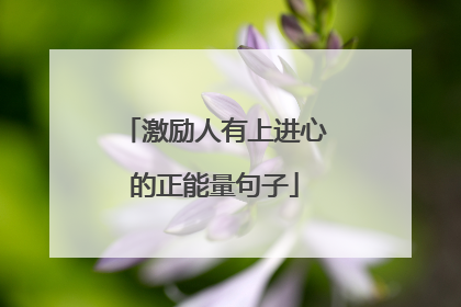 激励人有上进心的正能量句子