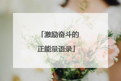激励奋斗的正能量语录