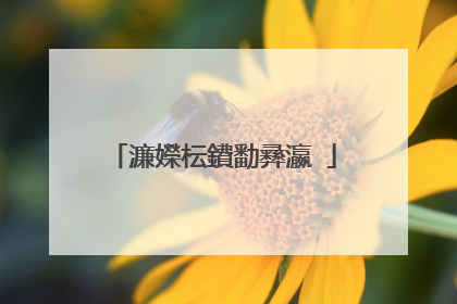 濂嬫枟鐨勫彞瀛�