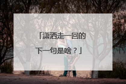 潇洒走一回的下一句是啥？