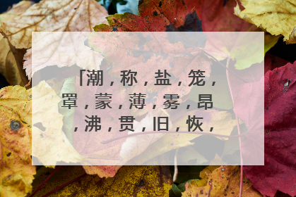 潮，称，盐，笼，罩，蒙，薄，雾，昂，沸，贯，旧，恢，同音字组词2个？
