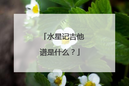 水星记吉他谱是什么？