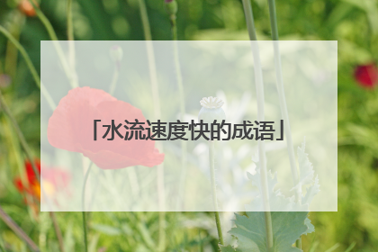 水流速度快的成语