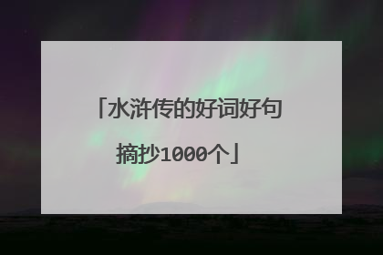 水浒传的好词好句摘抄1000个