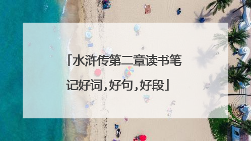 水浒传第二章读书笔记好词,好句,好段