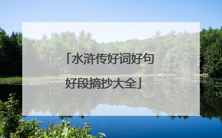 水浒传好词好句好段摘抄大全