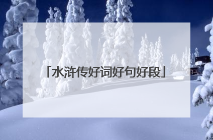 水浒传好词好句好段