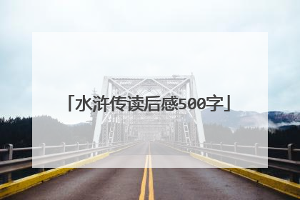 水浒传读后感500字