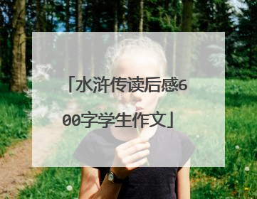 水浒传读后感600字学生作文