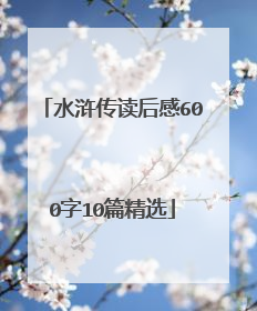 水浒传读后感600字10篇精选