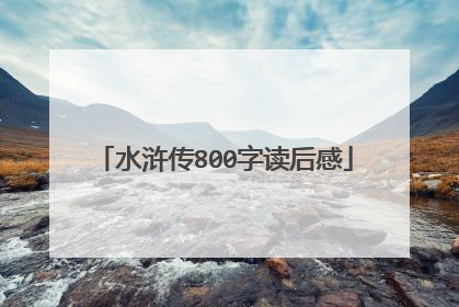 水浒传800字读后感