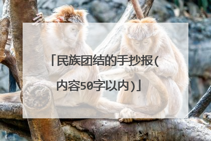 民族团结的手抄报(内容50字以内)