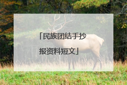 民族团结手抄报资料短文