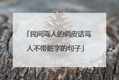 民间骂人的俏皮话骂人不带脏字的句子