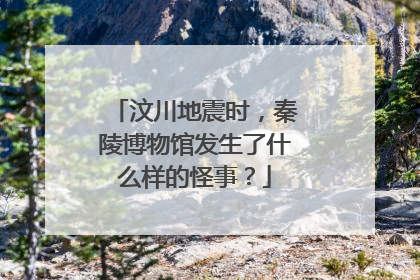 汶川地震时，秦陵博物馆发生了什么样的怪事？
