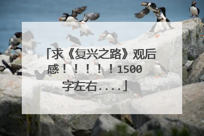 求《复兴之路》观后感！！！！！1500字左右....