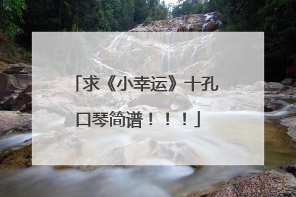 求《小幸运》十孔口琴简谱！！！