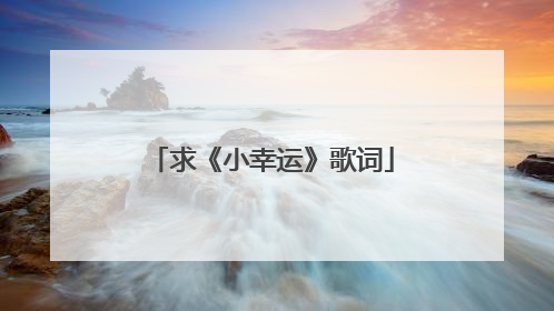 求《小幸运》歌词