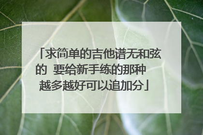 求简单的吉他谱无和弦的 要给新手练的那种 越多越好可以追加分