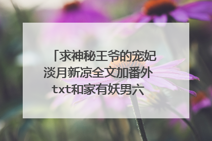求神秘王爷的宠妃淡月新凉全文加番外txt和家有妖男六七只全文加番外