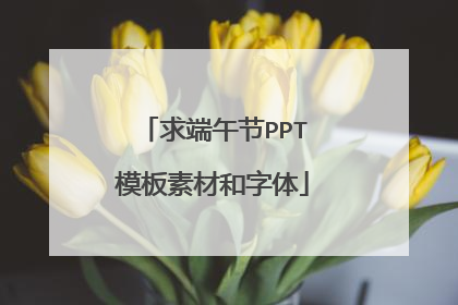 求端午节PPT模板素材和字体