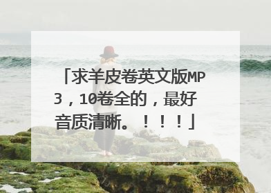 求羊皮卷英文版MP3,10卷全的,最好音质清晰。!!!