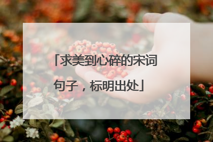 求美到心碎的宋词句子,标明出处