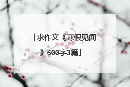 求作文《寒假见闻》600字3篇