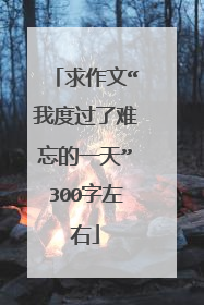 求作文“我度过了难忘的一天”300字左右