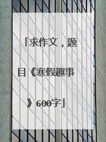 求作文，题目《寒假趣事》600字