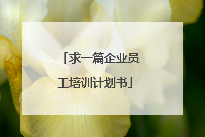 求一篇企业员工培训计划书