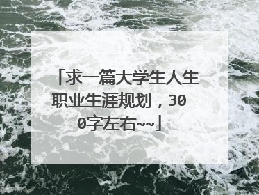 求一篇大学生人生职业生涯规划，300字左右~~