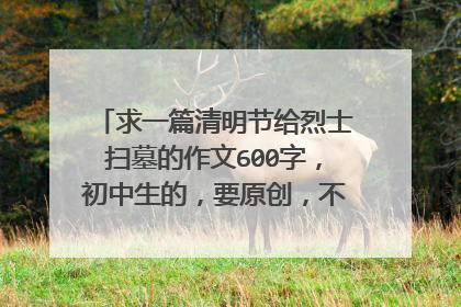 求一篇清明节给烈士扫墓的作文600字，初中生的，要原创，不要去网上搜的