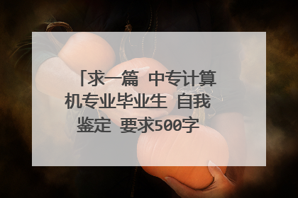 求一篇 中专计算机专业毕业生 自我鉴定 要求500字左右的 急 高分