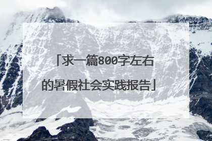 求一篇800字左右的暑假社会实践报告