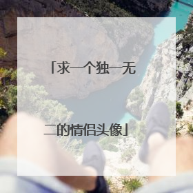 求一个独一无二的情侣头像