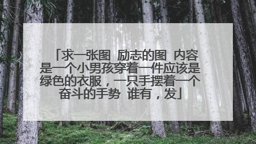 求一张图 励志的图 内容是一个小男孩穿着一件应该是绿色的衣服，一只手摆着一个奋斗的手势 谁有，发