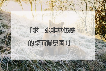 求一张非常伤感的桌面背景图!