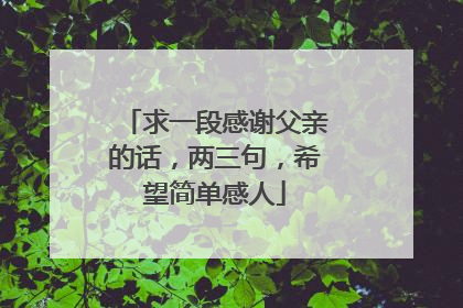 求一段感谢父亲的话，两三句，希望简单感人