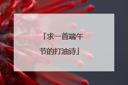 求一首端午节的打油诗