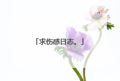 求伤感日志。