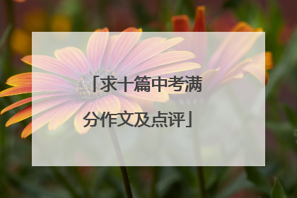 求十篇中考满分作文及点评