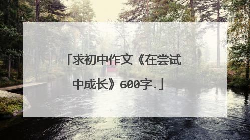 求初中作文《在尝试中成长》600字.