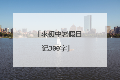 求初中暑假日记300字