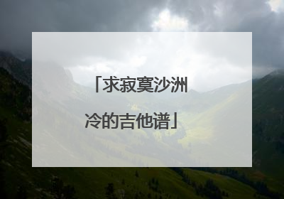 求寂寞沙洲冷的吉他谱
